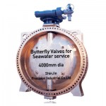Butterfly Valves for Seawater